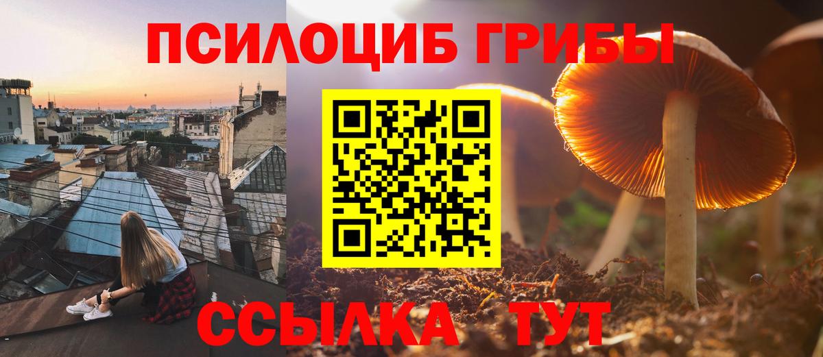 Каспийск  Псилоцибиновые грибы Magic Shrooms  Псилоцибиновые грибы ЛСД  Вход с VPN 
